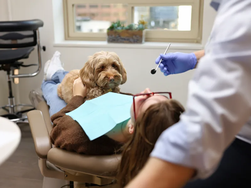 Amato Dental Group — photo 4