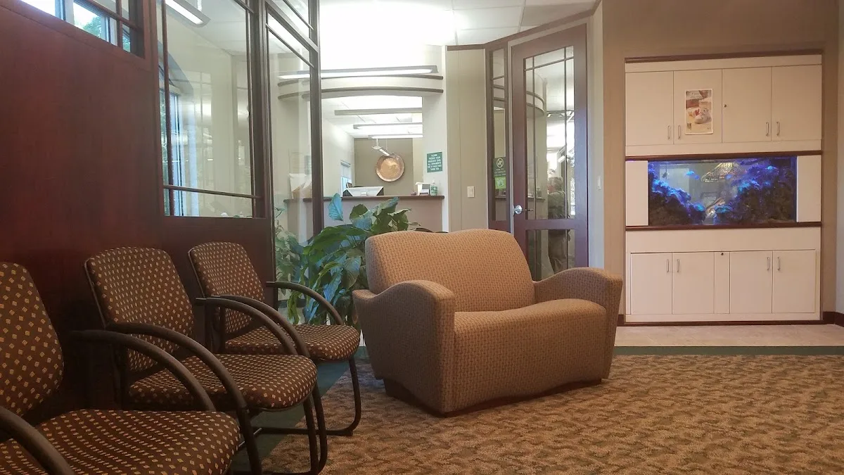 Asheville Aesthetic Dental Partners — photo 1