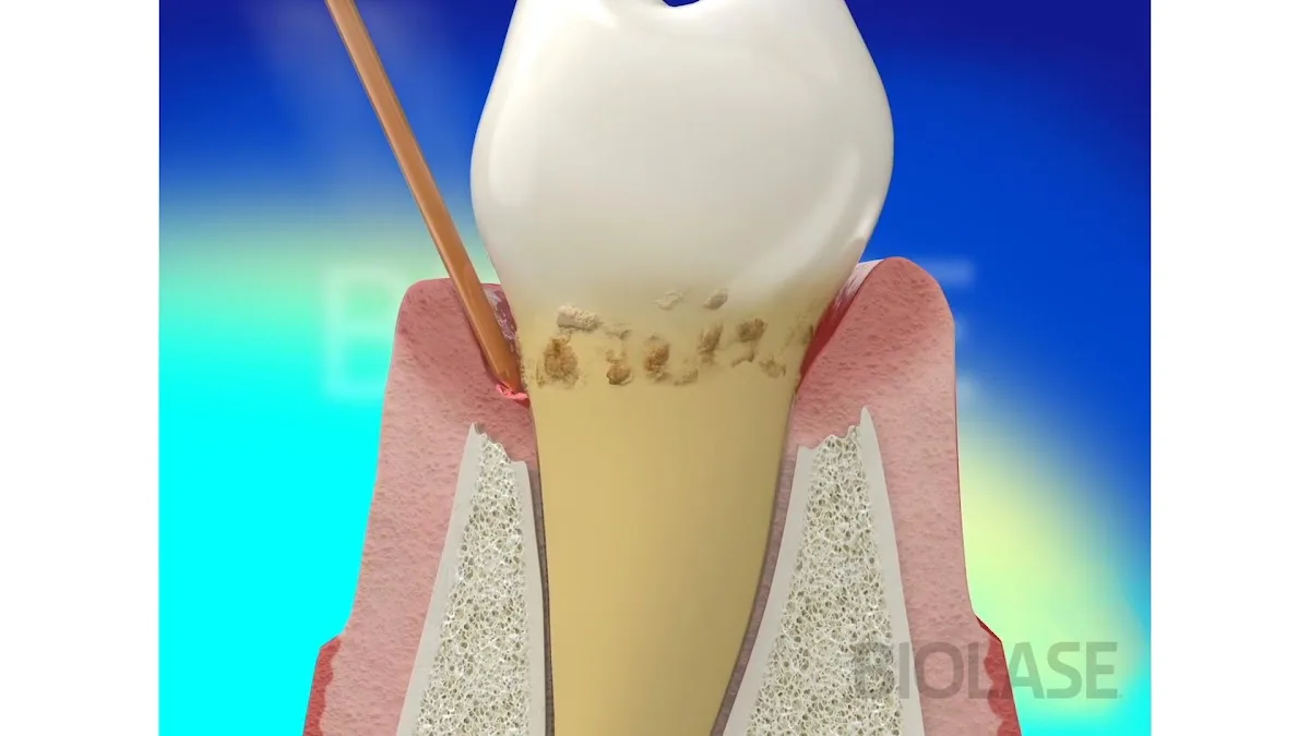 Bright Smile Dental — photo 2
