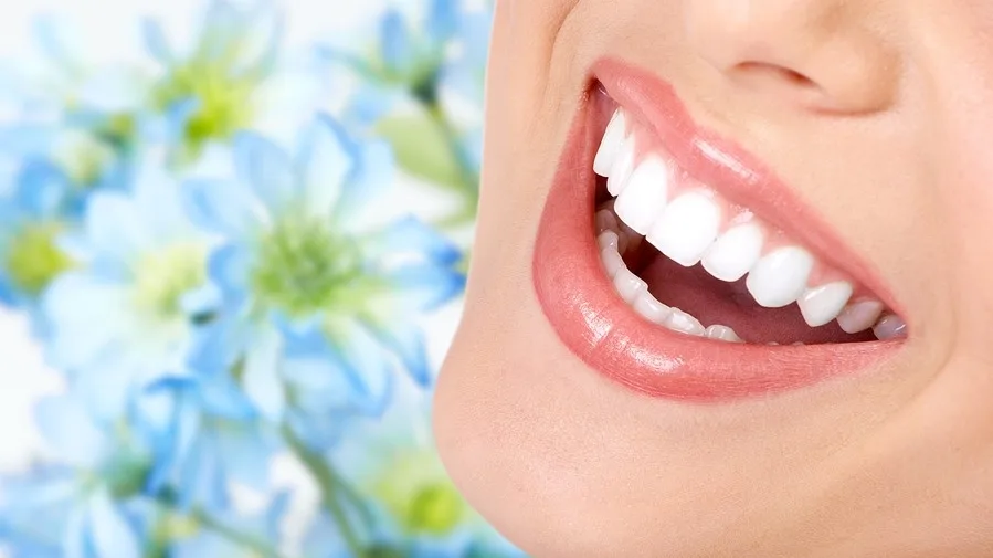 Cedar Creek Dental — photo 3