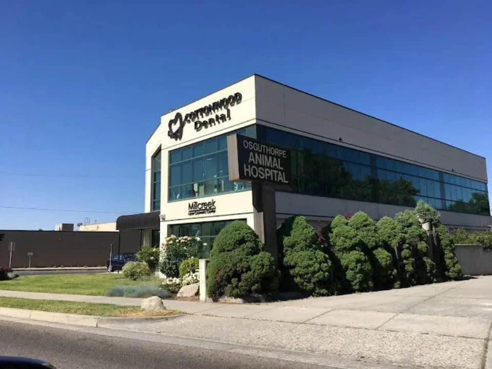 Cottonwood Dental — photo 2