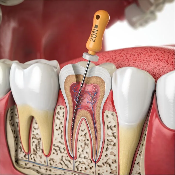 Dental Wellness of Anaheim — photo 1