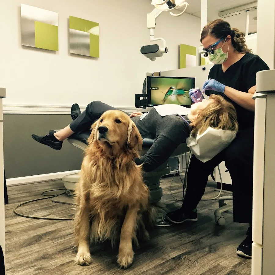 Everwell Dentistry — photo 4