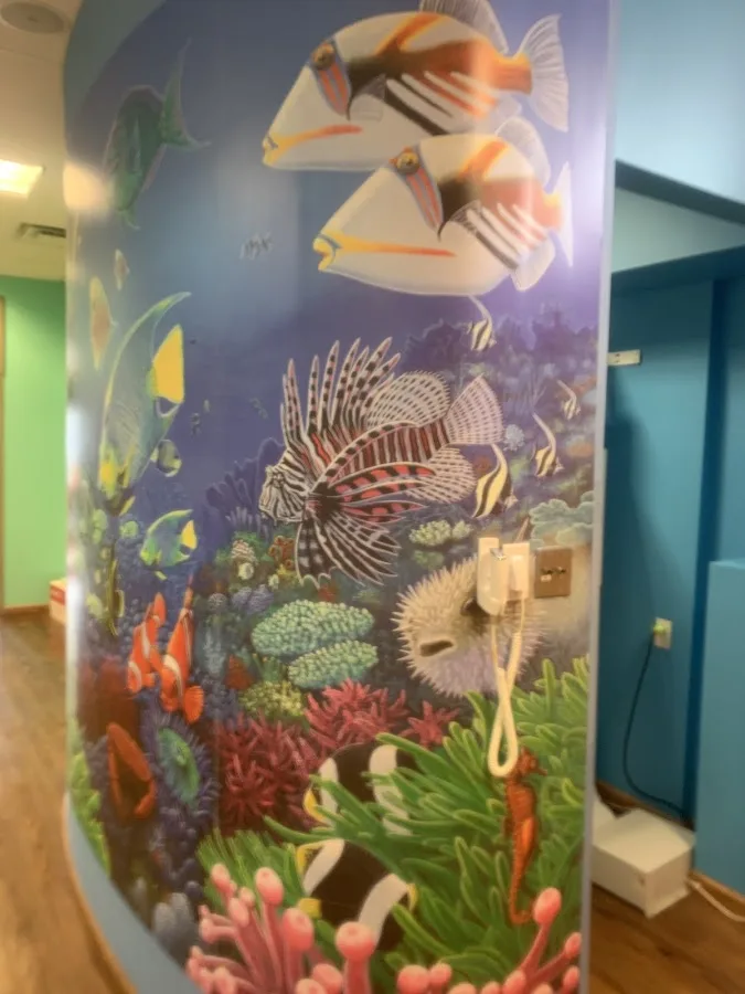 Fennell, Yoxthimer and Associates, DDS, Inc. — photo 4