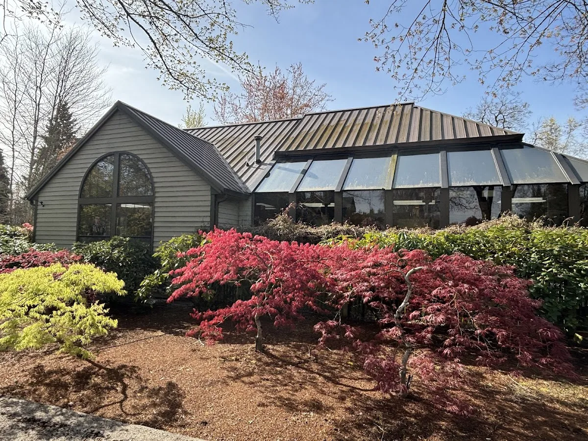 King Dental — photo 4