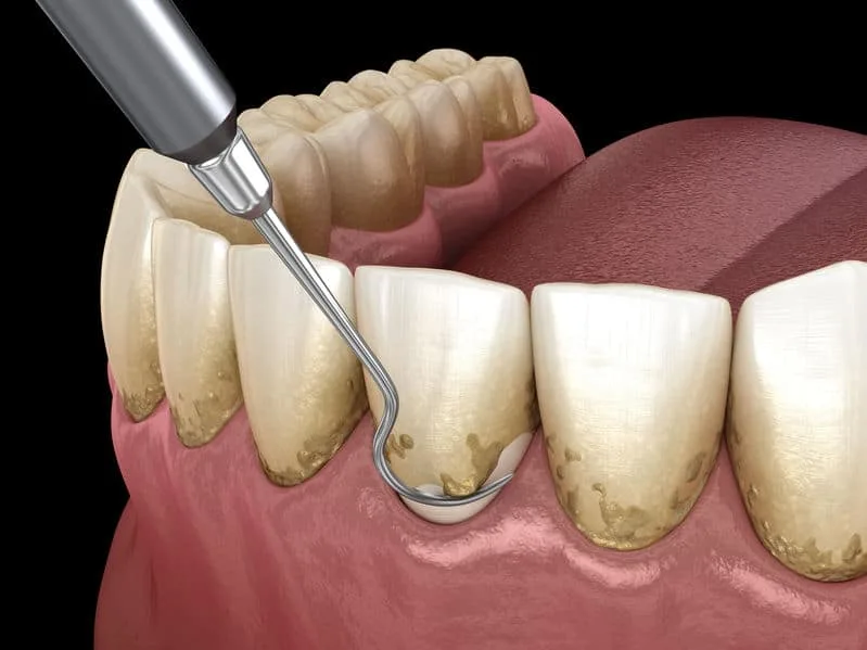 Magnolia Family Dental Care — photo 3