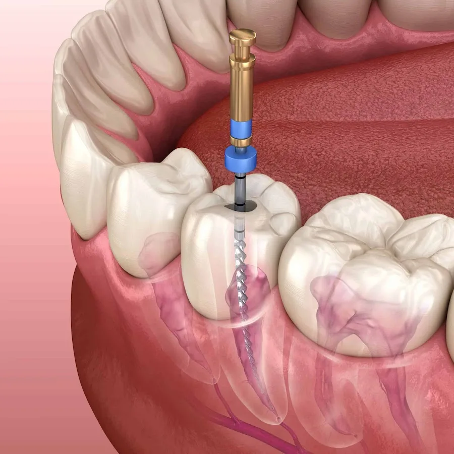 Magnolia Family Dental Care — photo 4