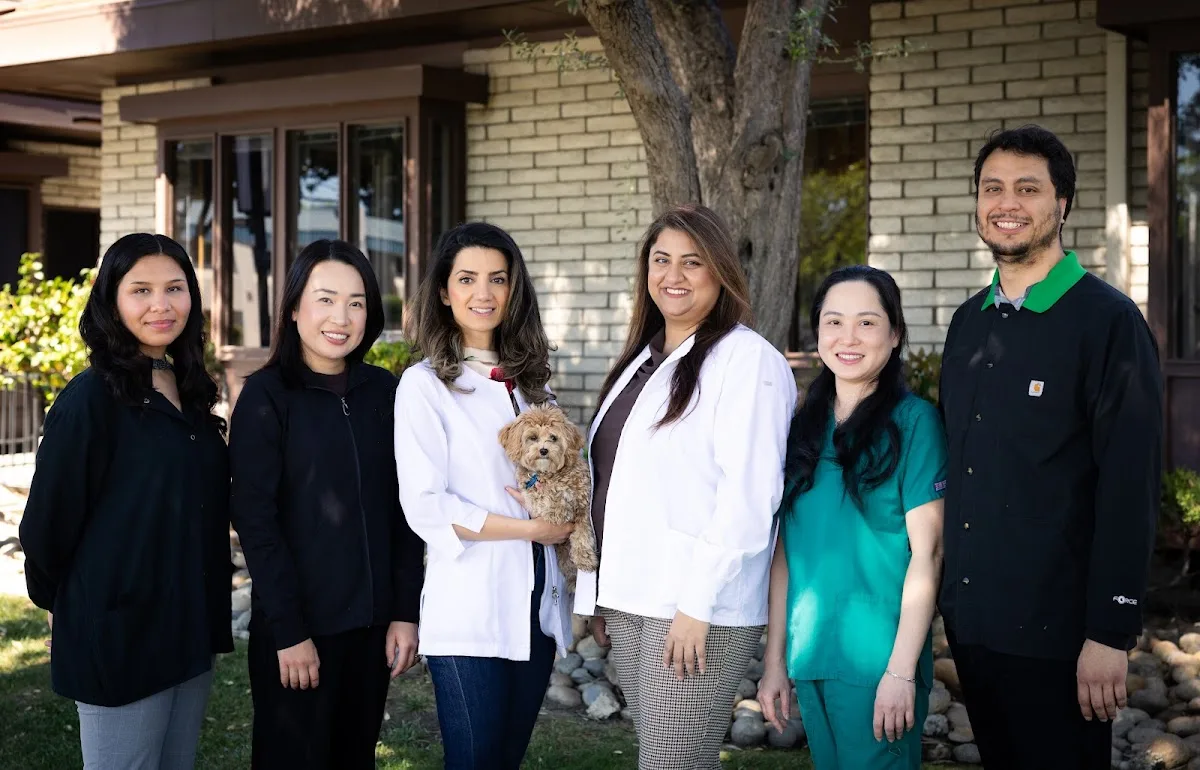 Manassra Dental — photo 4