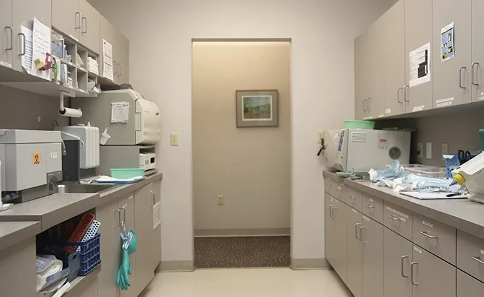 New Haven Dental Group — photo 2