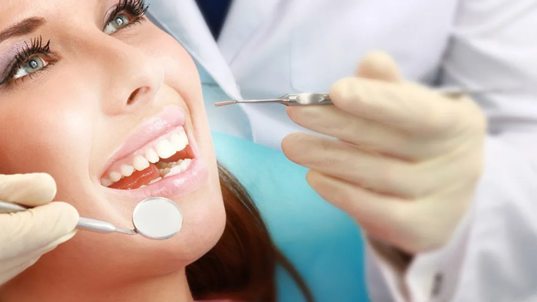 NOTO ProDental — photo 2