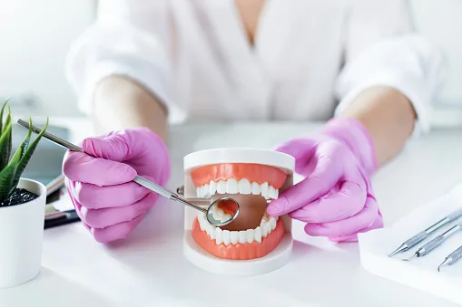 Oak Park Dental — photo 5