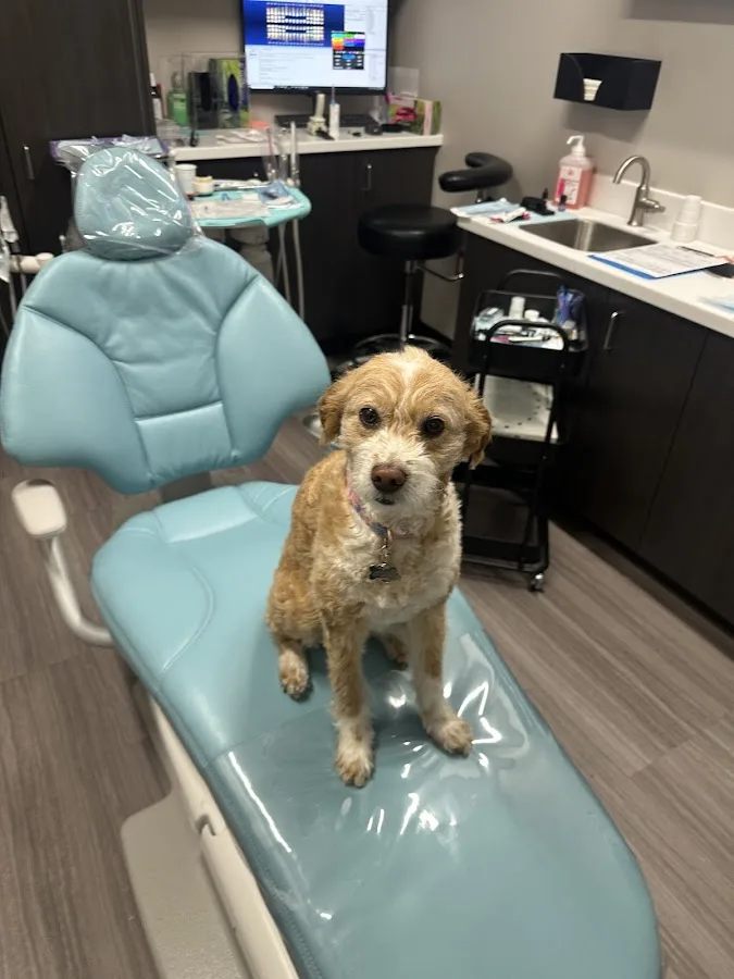 S&C Dental