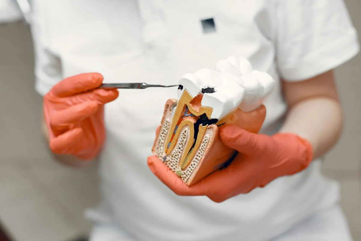 Soulard Family Dentistry - St. Louis, MO — photo 1