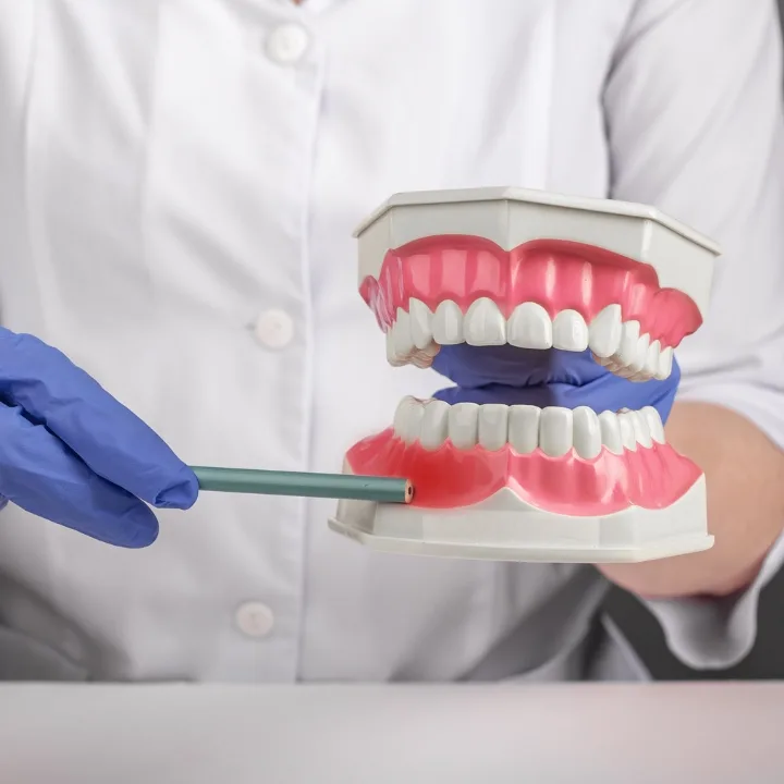 Soulard Family Dentistry - St. Louis, MO — photo 2