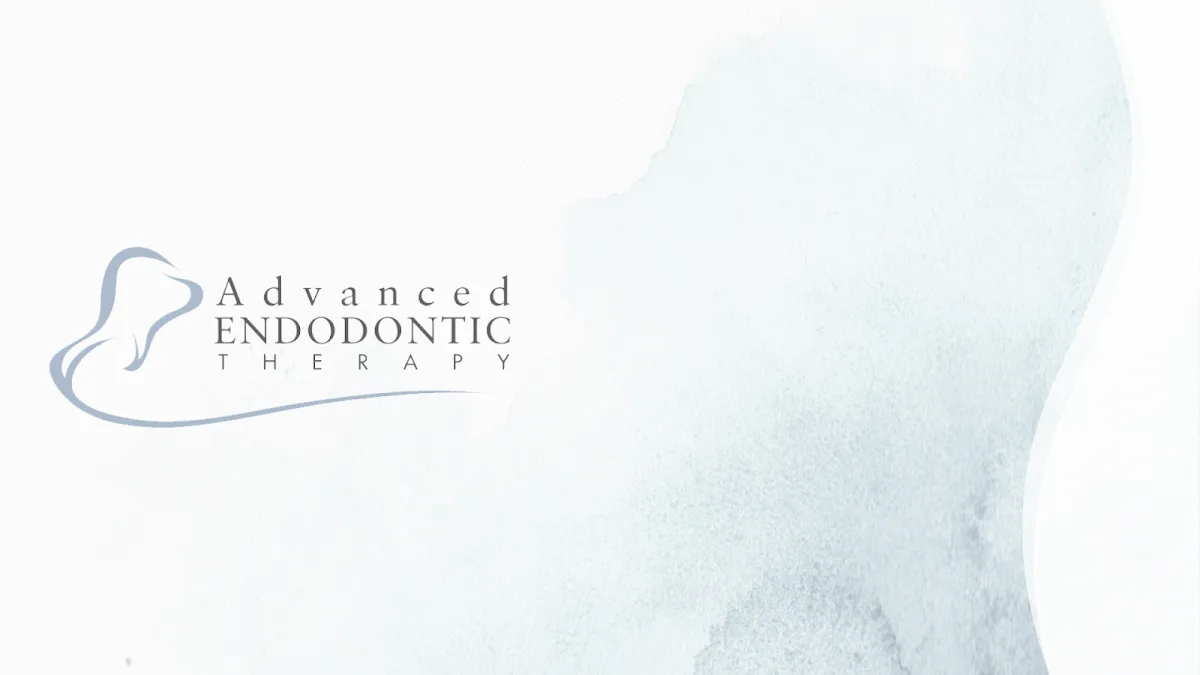 The Tooth Doc — photo 3